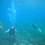 gruenersee:diving with friends