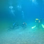gruenersee:diving with friends